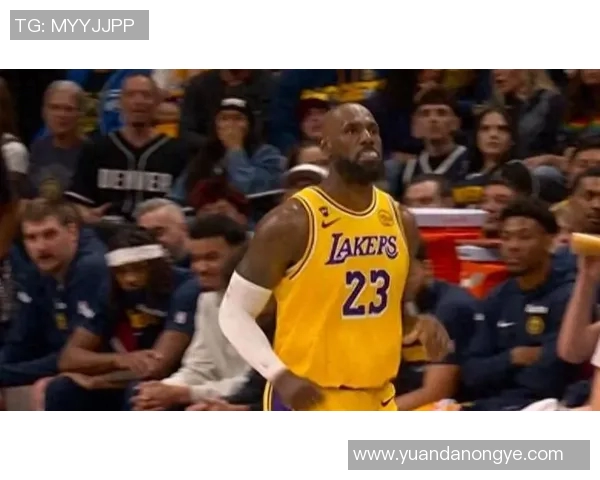 里程悲！詹姆斯总进球数升至NBA历史首位，约基奇28+12+13三双，湖人鏖战惜败掘金！